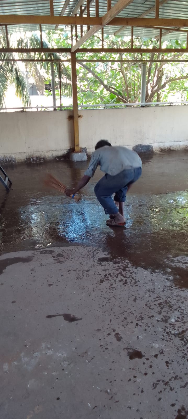 Carpet Cleaning